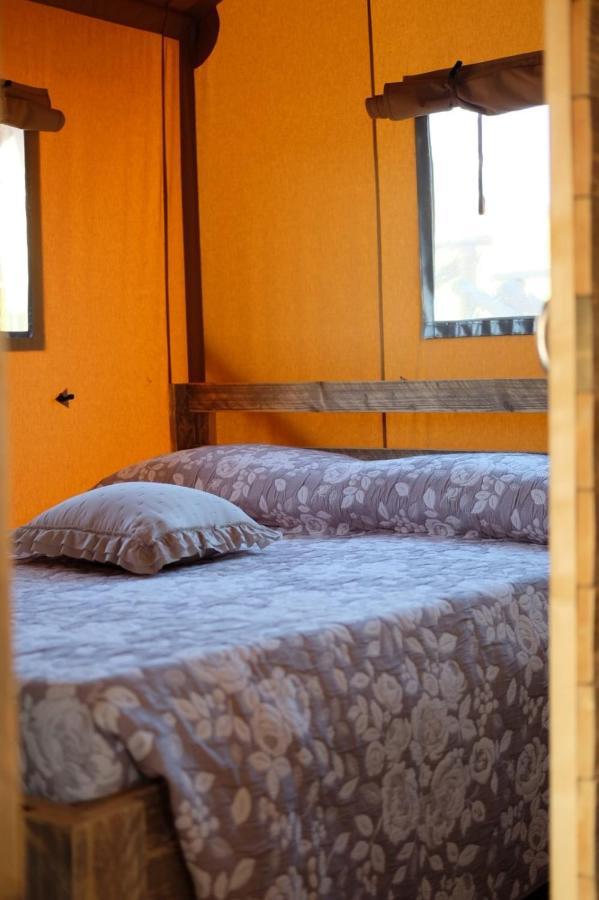 La Viola E Il Sole - Alloggi E Glamping - 费尔莫 外观 照片